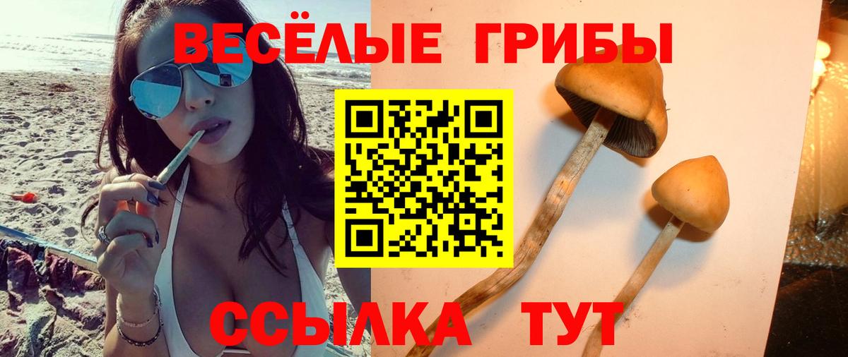 Галлюциногенные грибы Magic Shrooms  Вход с VPN  Псилоцибиновые грибы Magic Shrooms  Всеволожск 